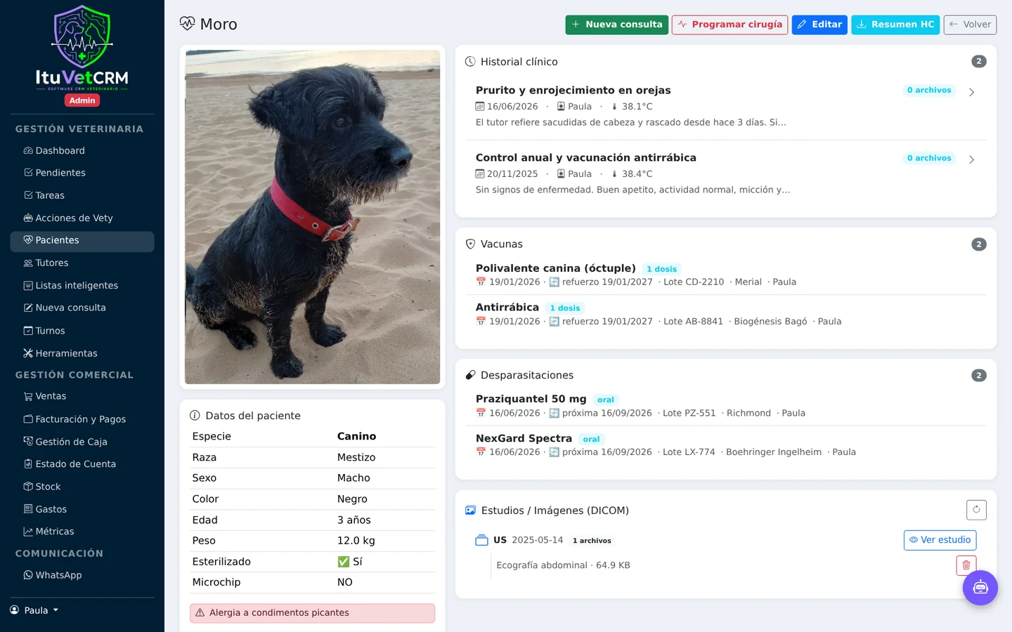 Ficha del paciente con historia clínica ItuVetCRM