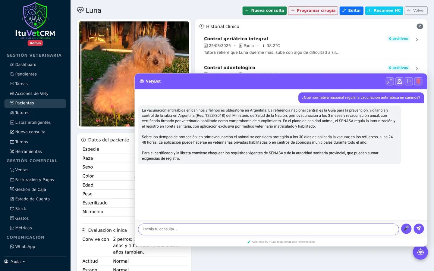 Asistente IA VetyBot ampliado en la ficha del paciente ItuVetCRM