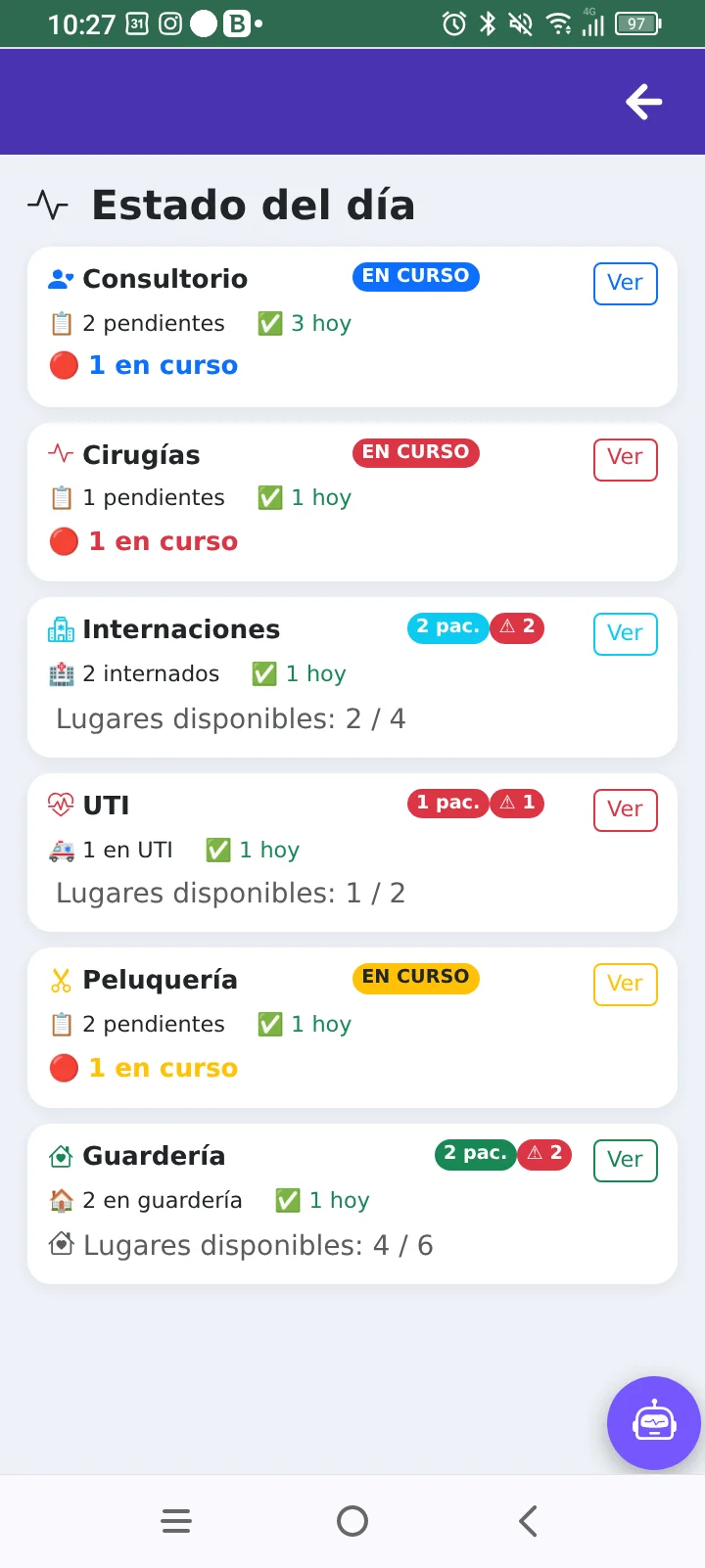 Estado del día en el celular ItuVetCRM