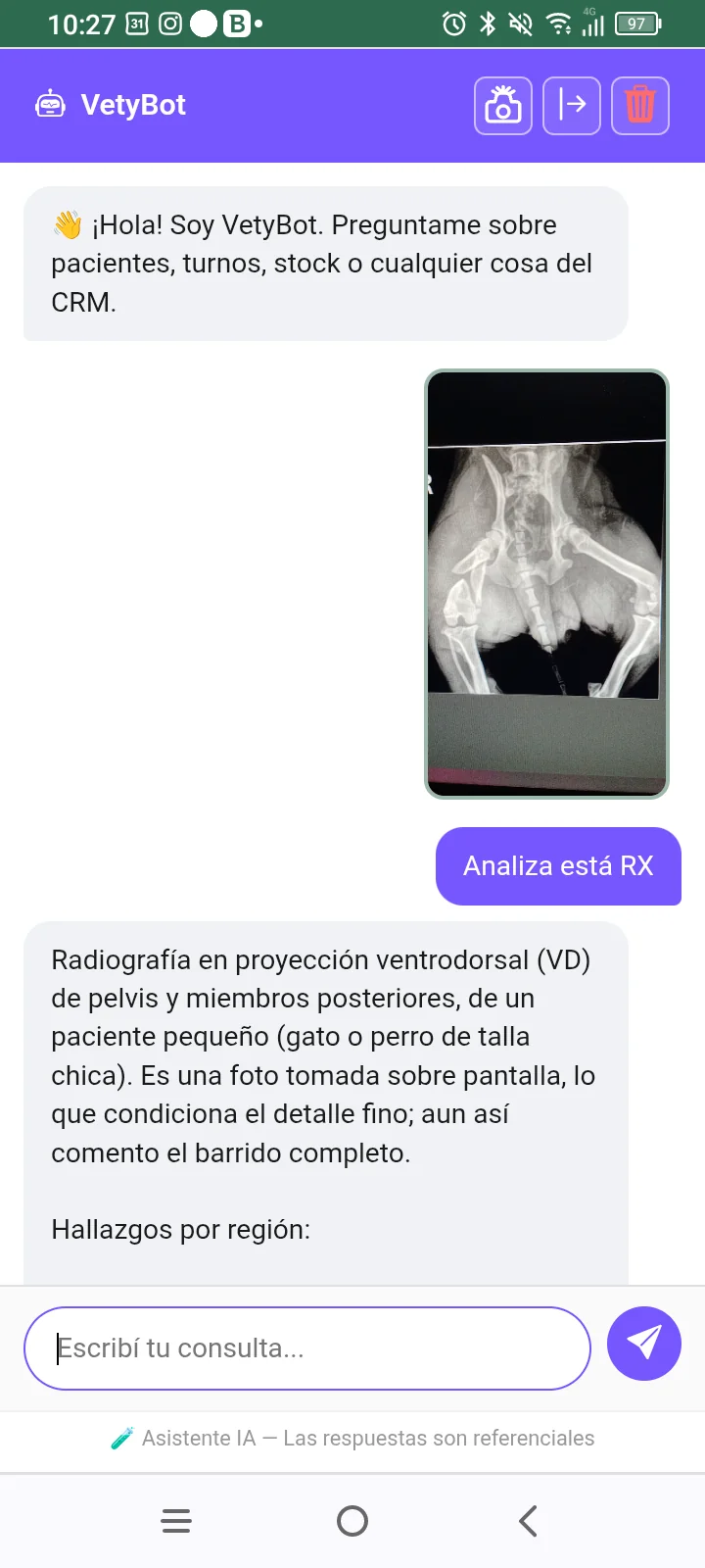 Vety Visión analizando una radiografía en el celular ItuVetCRM